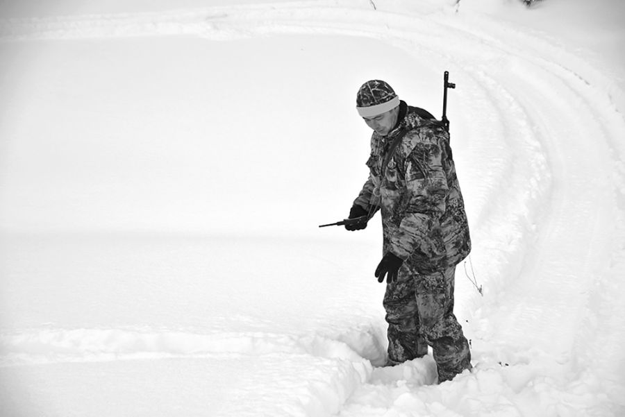 Лапы волка на снегу. Сериал след рогозина. След егерь и волки. След егерь и волки. Различие следа волка и собаки.