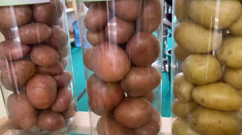 Купить Картофель В Свердловской Области